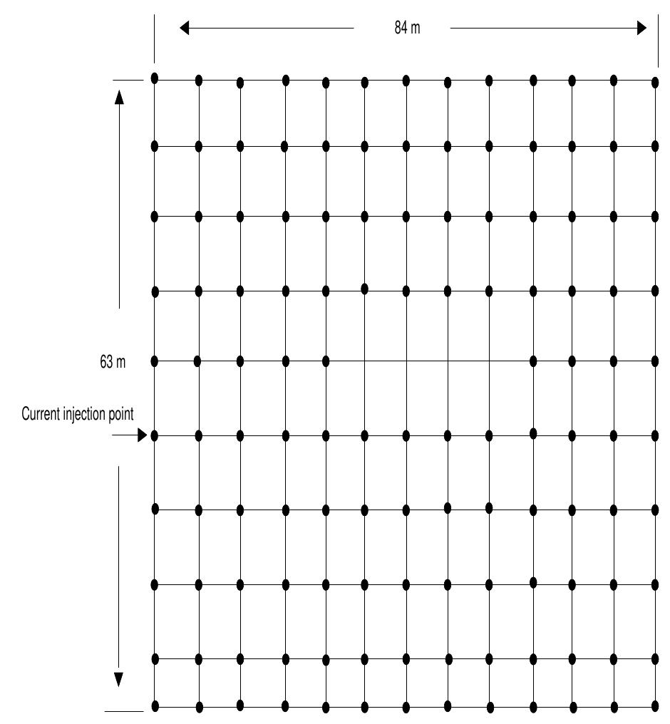 Case (iii) grid layout plan with 3 m x 126 rods in case