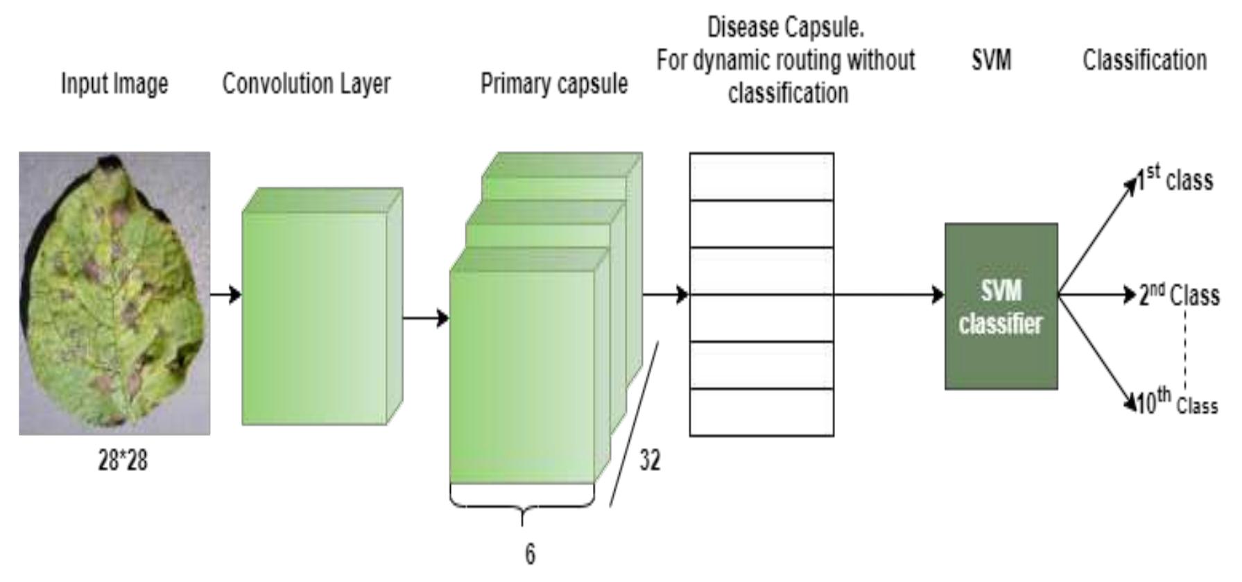 (PDF) CLASSIFICATION OF PLANT LEAF DISEASES BASED ON CAPSULE NETWORK ...