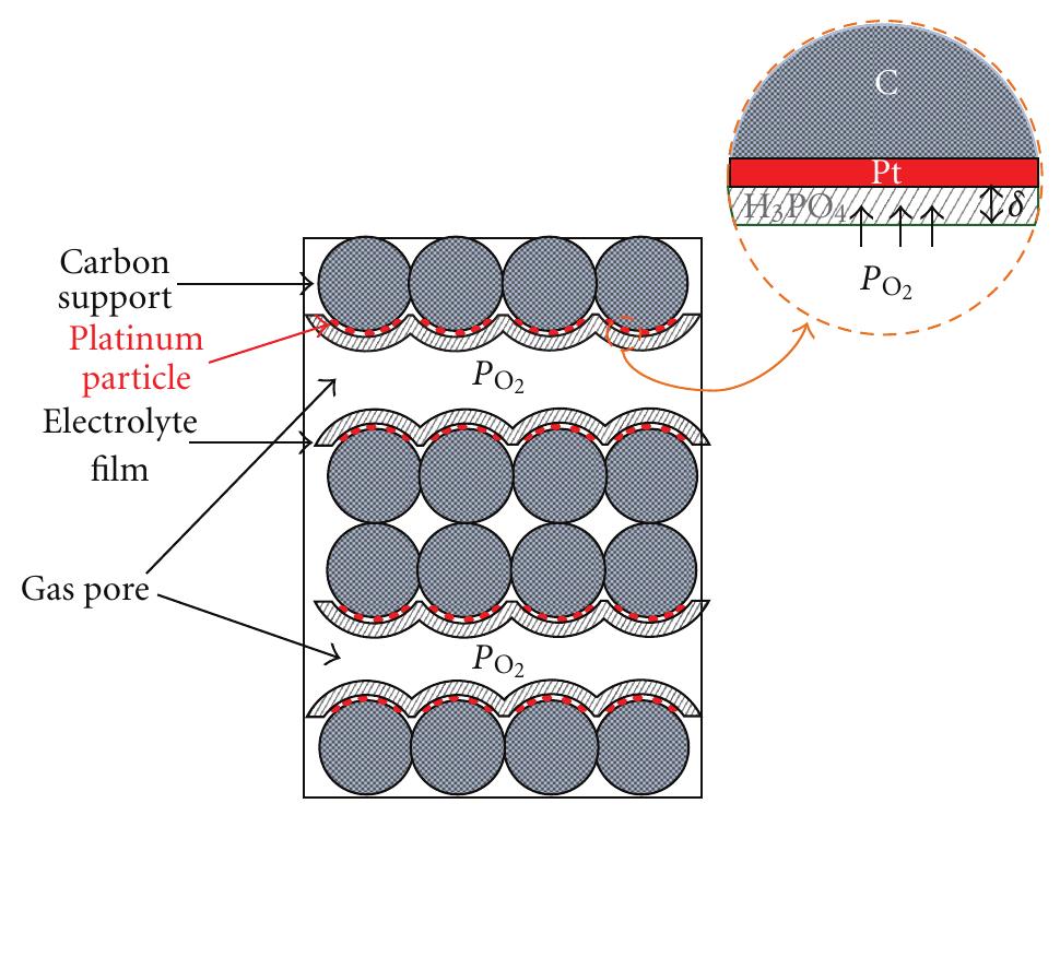 Ficure 1: schematic of catalyst layer using the thin film