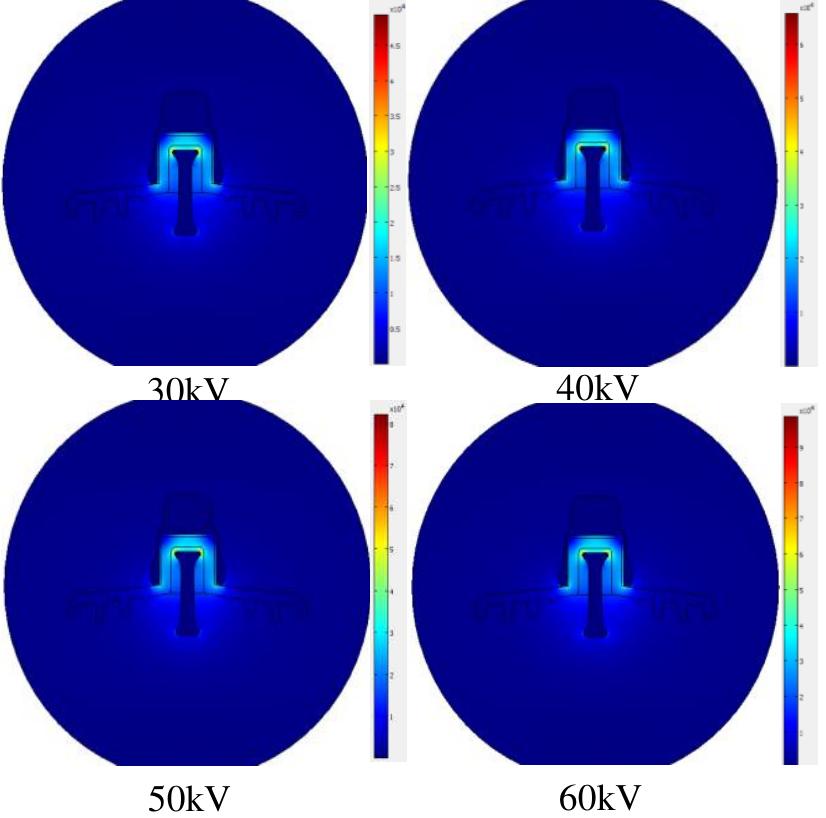 (PDF) Simulation of the potential and electric field distribution on ...