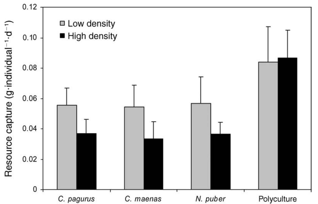 (PDF) Predator Diversity and Ecosystem Functioning: Density Modifies ...