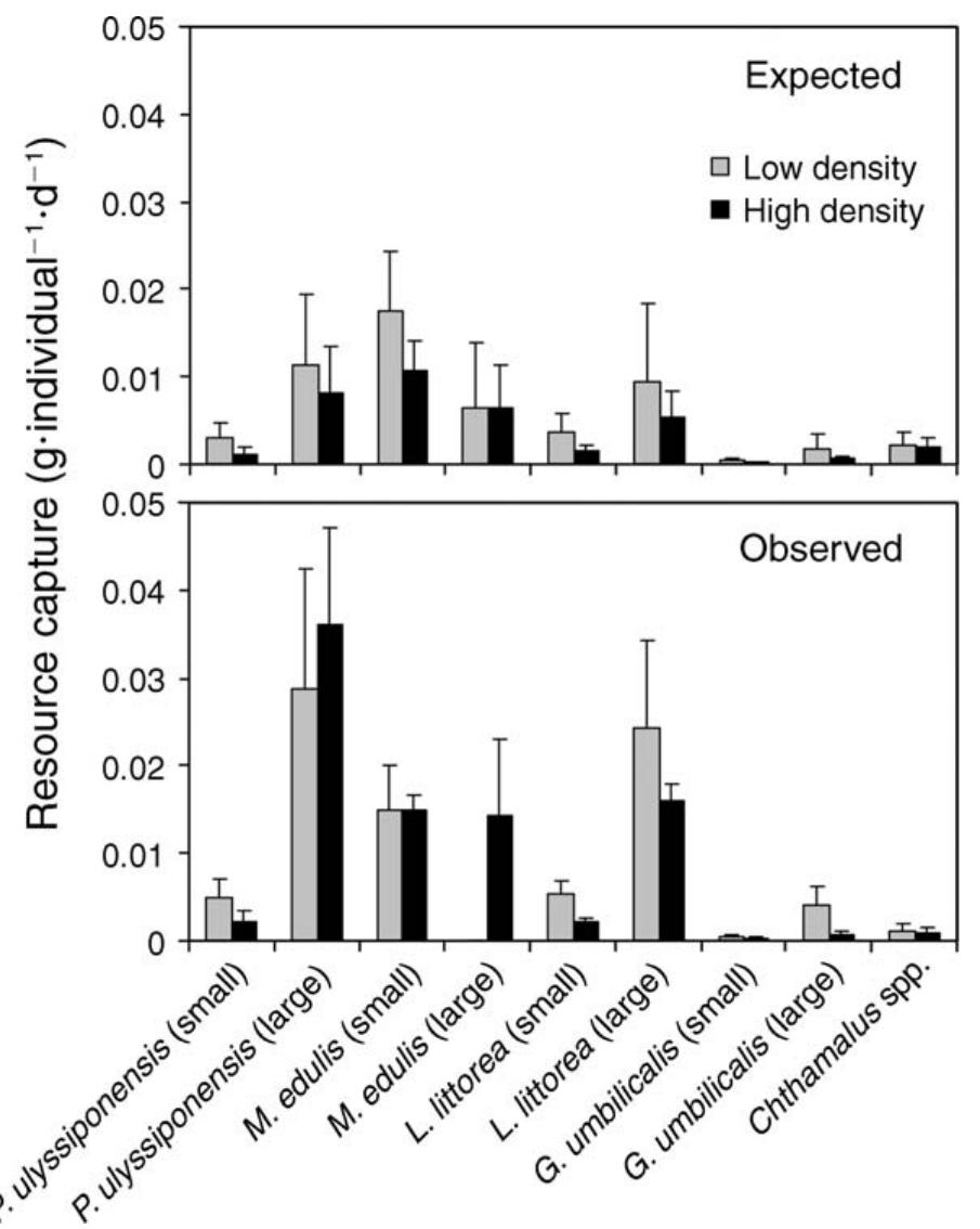 (PDF) Predator Diversity and Ecosystem Functioning: Density Modifies ...