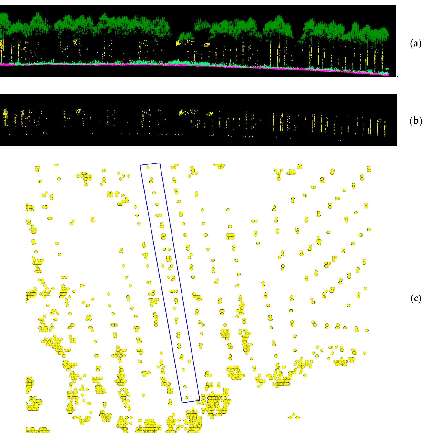 (PDF) Individual Tree Detection in a Eucalyptus Plantation Using ...