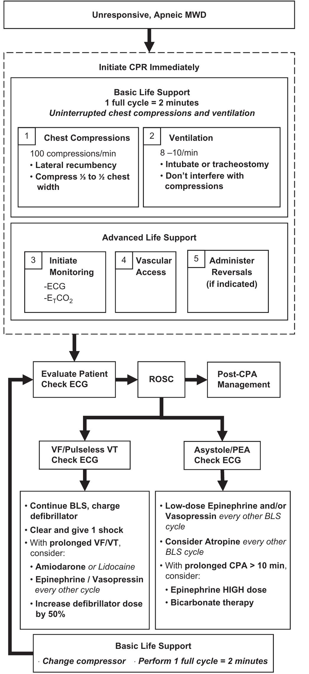 Fletcher Cpr Algorithm (PDF) Trauma Management of Military Working Dogs
