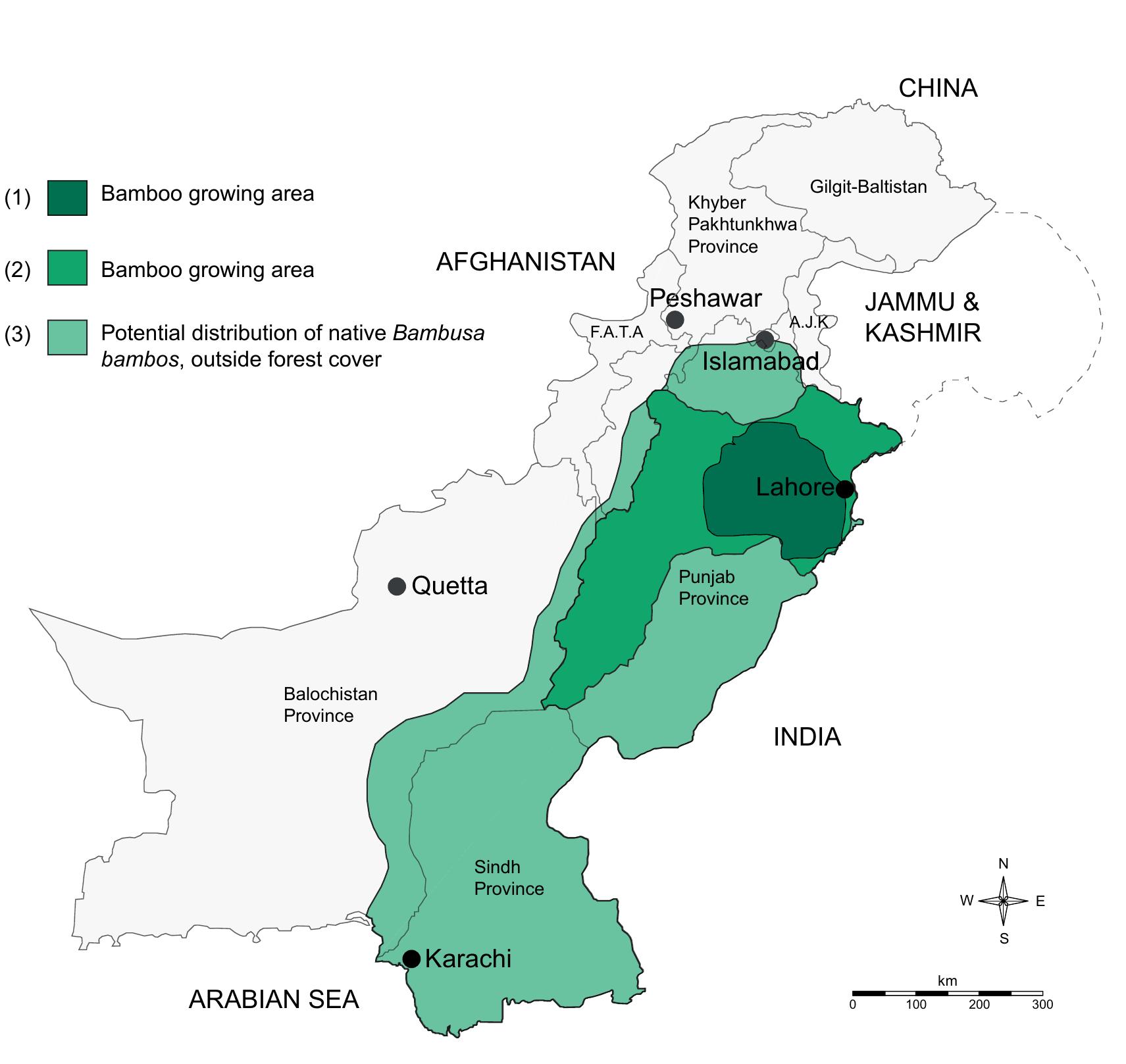 (PDF) Briefing: Bamboo for construction in Pakistan – a scoping review