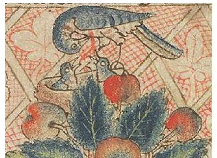 Figure 9. Detail of Figure 8 showing the ‘Pelican in her piety’  A third hypothesis, put forward by the present author, controversially aims to place the symbolism squarely within a supposed spiritual interpretation, noting that the goose spaces contribute advancement along the path of spiritual development. This would be easy to understand if the goose, as originated in medieval Italy, were in fact a pelican: a well-known symbol for Christ.'° Some limited support for this idea is given by the fact that, as late as the nineteenth century, the formal taxonomic scheme used in Italy for birds included the ‘Order’ of the geese, the pelican being one of its genera: an ‘oca pelicano’. The medieval depiction of the pelican did not include its large throat pouch, so a confusion of symbols is possible. The legend of the pelican that makes it a symbol of Christ is that it revives its offspring by giving them blood from its breast, as seen in The Holkham Bible Picture Book, in which the ‘Pelican in her Piety’ is shown nesting at the top of the Tree of Life in the Garden of Eden (Figures 8 and 9).‘” This can be compared with a detail of the earliest surviving Goose board, thought to have been made in Northern India to an Italian design (Figure 10).!* The resemblance of the birds on spaces twenty-three and fifty-four to the medieval pelican is striking, there being no sign of the long neck that characterizes the goose. The sharp bill common to the images both in the manuscript and in the board is also not that of a goose, instead being suited to striking blood from the bird’s breast. The birds in the early Spanish examples described above similarly lack the normal characteristics of a goose. If this bold hypothesis is correct, it would imply that the medieval game was conceived originally with pelican images but that over the years the association was forgotten and replaced by the goose imagery in the Early Modern period. The presence of the pelican in the final ‘garden’ would of course elegantly have symbolized finding Christ in Paradise.  TT neces tend Licensee ee ew eeeeiilcs Demew exeecwieciinl exectimiccer mi ihn  