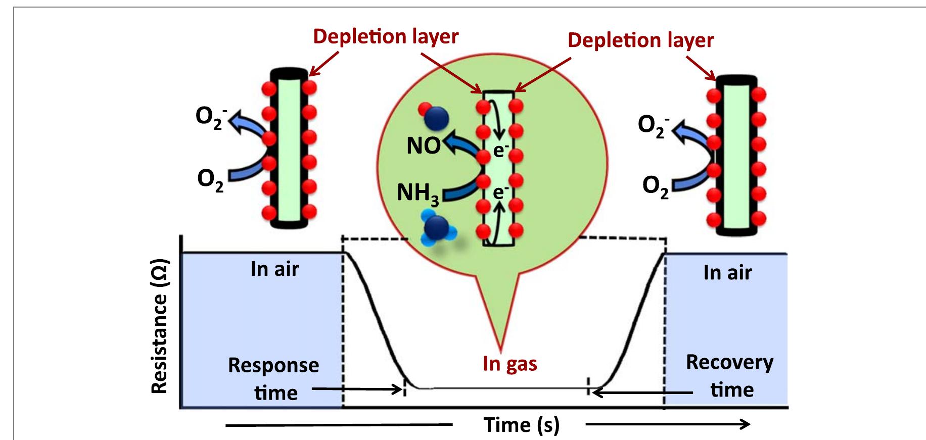Schematic view presenting the plausible wo; nbs gas sensing