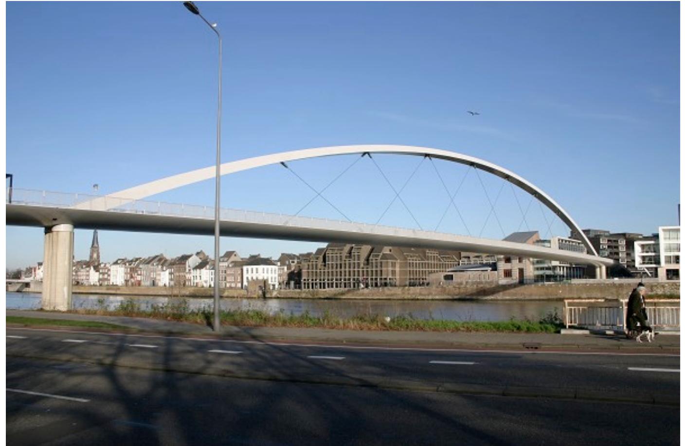 (PDF) Design of network arch bridges