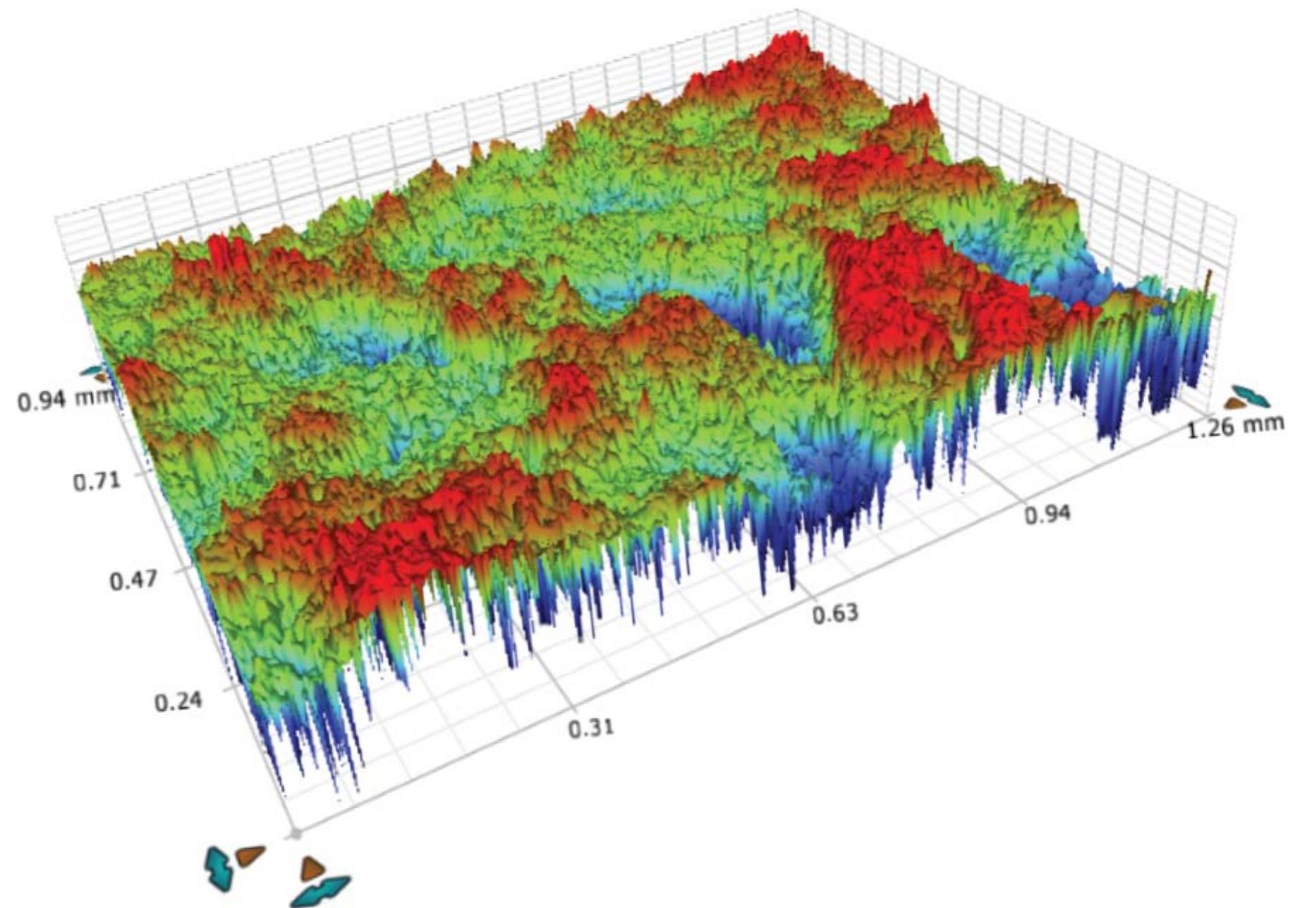 Figure 2. 3D surface topography of the sand blasted substrate before coating. 