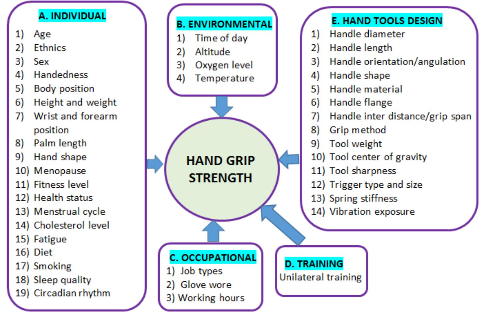 (PDF) The Influence of Hand Tool Design on Hand Grip Strength: A Review