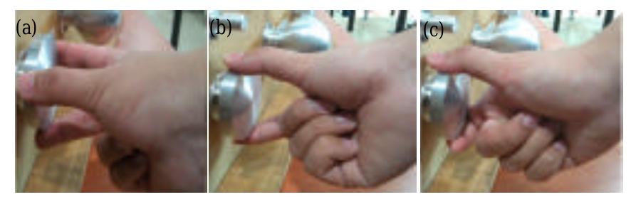 (a-c): examples of different pinch techniques applied on a