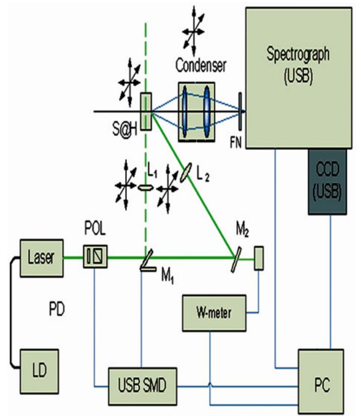 —schematic diagram of raman spectrometer! challenging