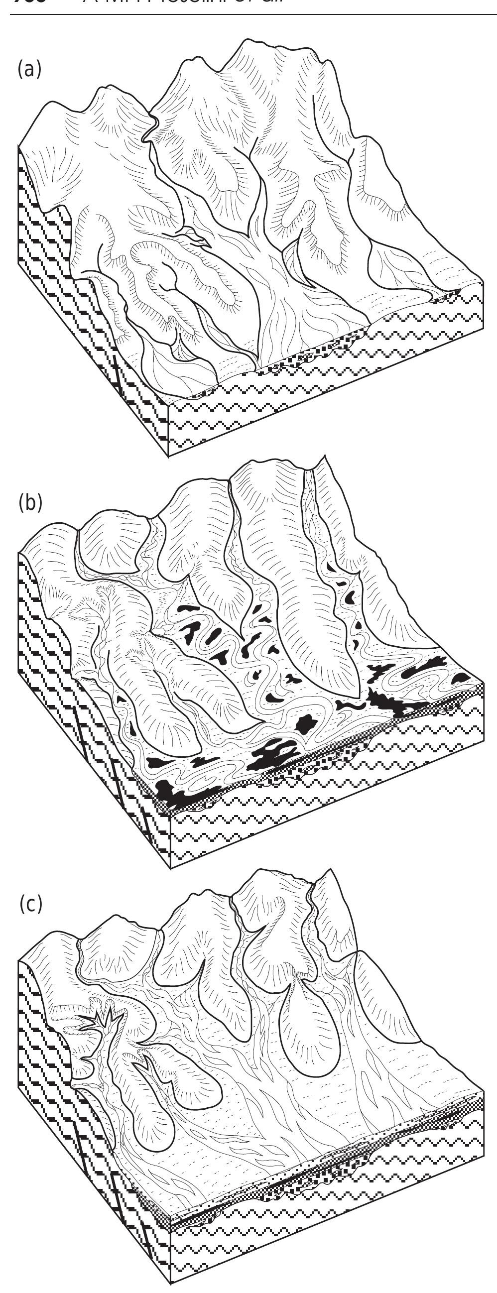 Schematic block diagrams representing stages in the