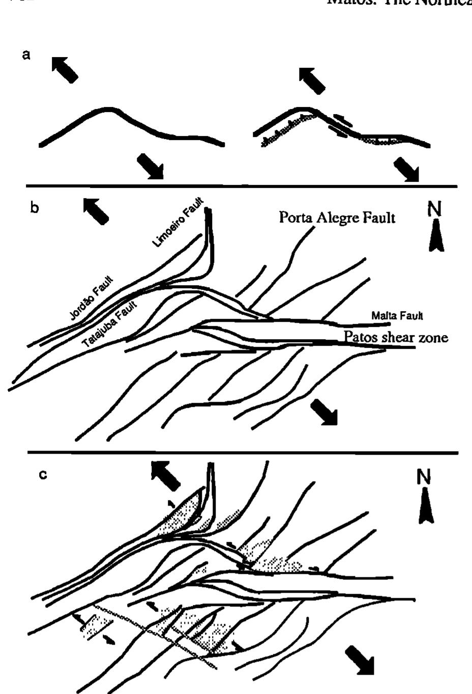 (PDF) The Northeast Brazilian Rift System