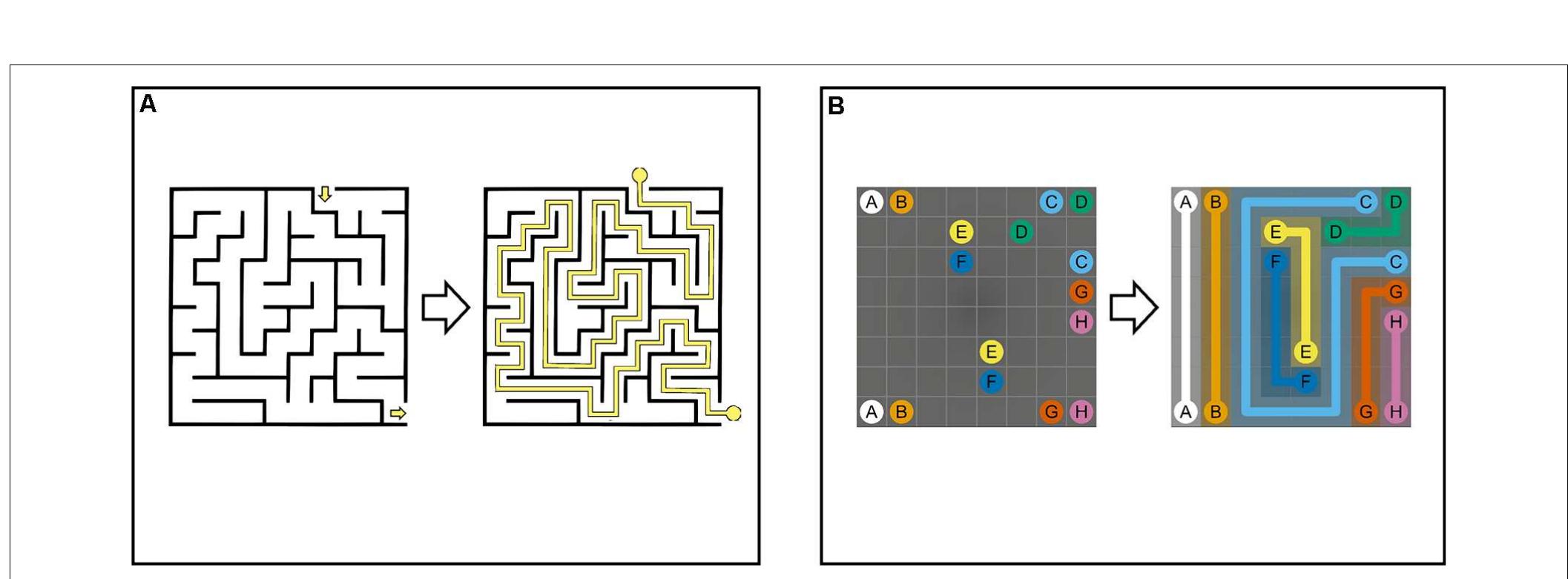 (PDF) Development and Evaluation of Maze-Like Puzzle Games to Assess ...