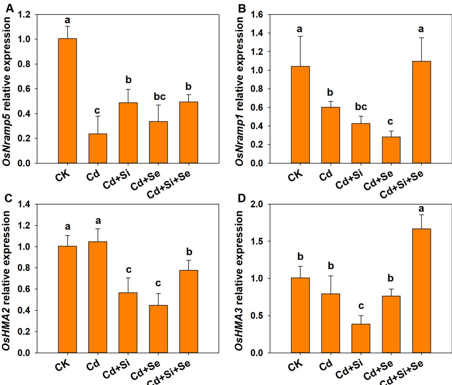 (PDF) Synergistic effect of silicon and selenium on the alleviation of ...