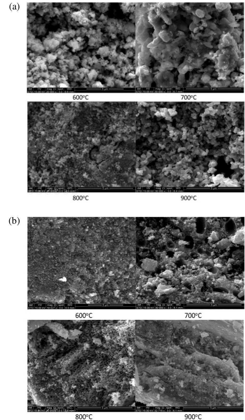 Sem micrographs of lscf-cuo powder form by respecting
