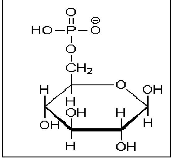 Figure 56 From Biomolecules Introduction Structure And