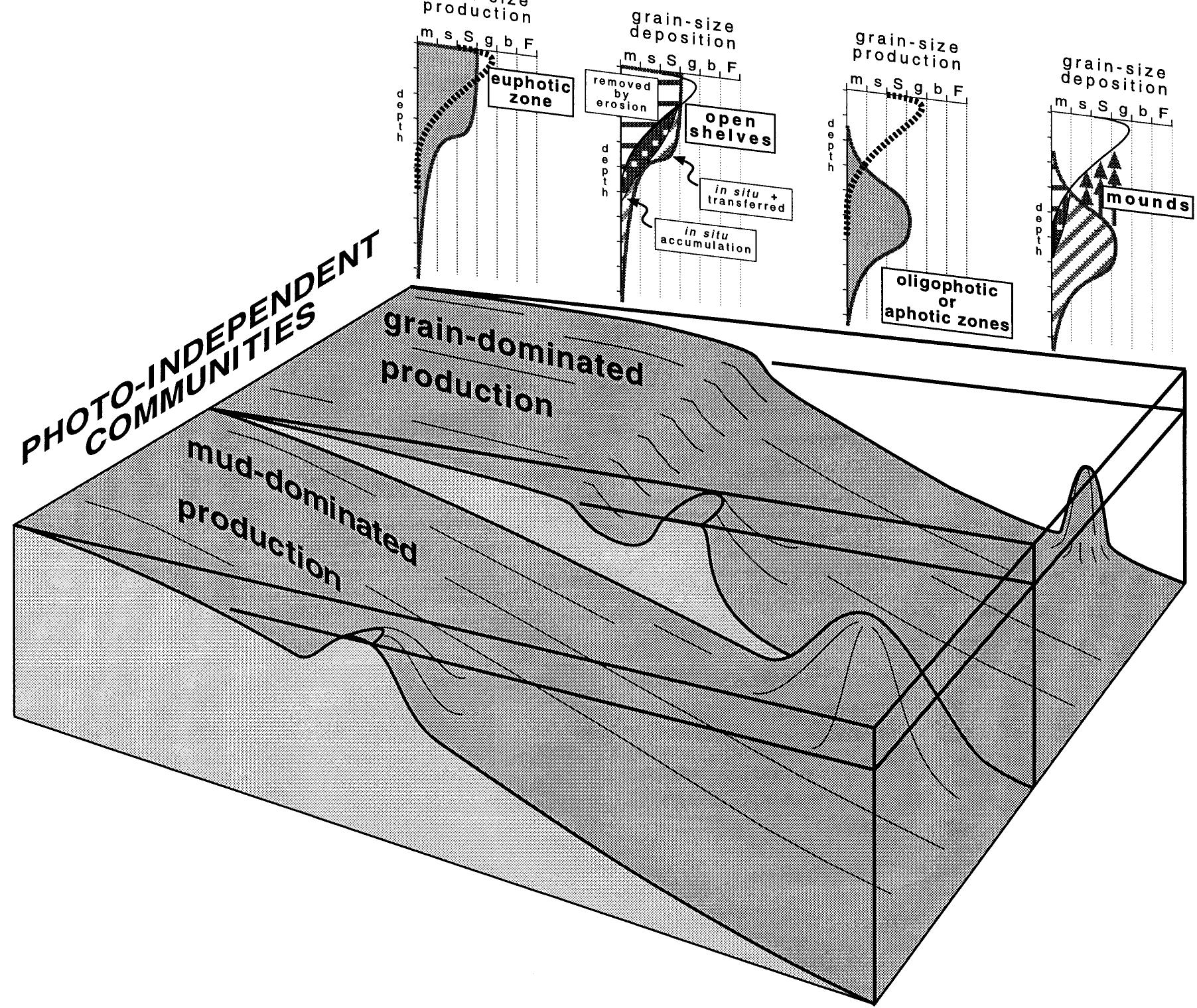 (PDF) Types of carbonate platforms: a genetic approach
