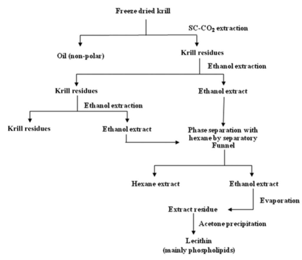 Summary of the purification steps.