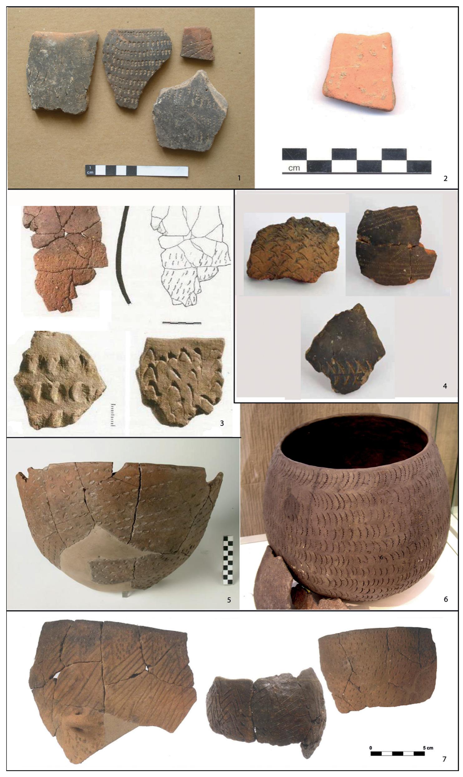 Figure 1: Impressed Ware pottery from the Adriatic-lonian zone: (1) Pokrovnik (Dalmatia); (2) RaSinovac (Dalmatia): figulina; (3) Sidari (Corfu); (4) Kargadur (Istria); (5) Favella (Apulia); (6) Crno Vrilo (Dalmatia); (7) Fornace Cappuccini (Emilia-Romagna, Po Plain). Credits: 1, 2. E. Podrug, 3. Berger et al., 2014; 4. KomSo and Cuka in Visentini & Podrug, 2014, no scale; 5. Tiné, 2009; 6. Marijanovi¢, 2009, no scale; and 7. Radi & Petrinelli, 2017. 