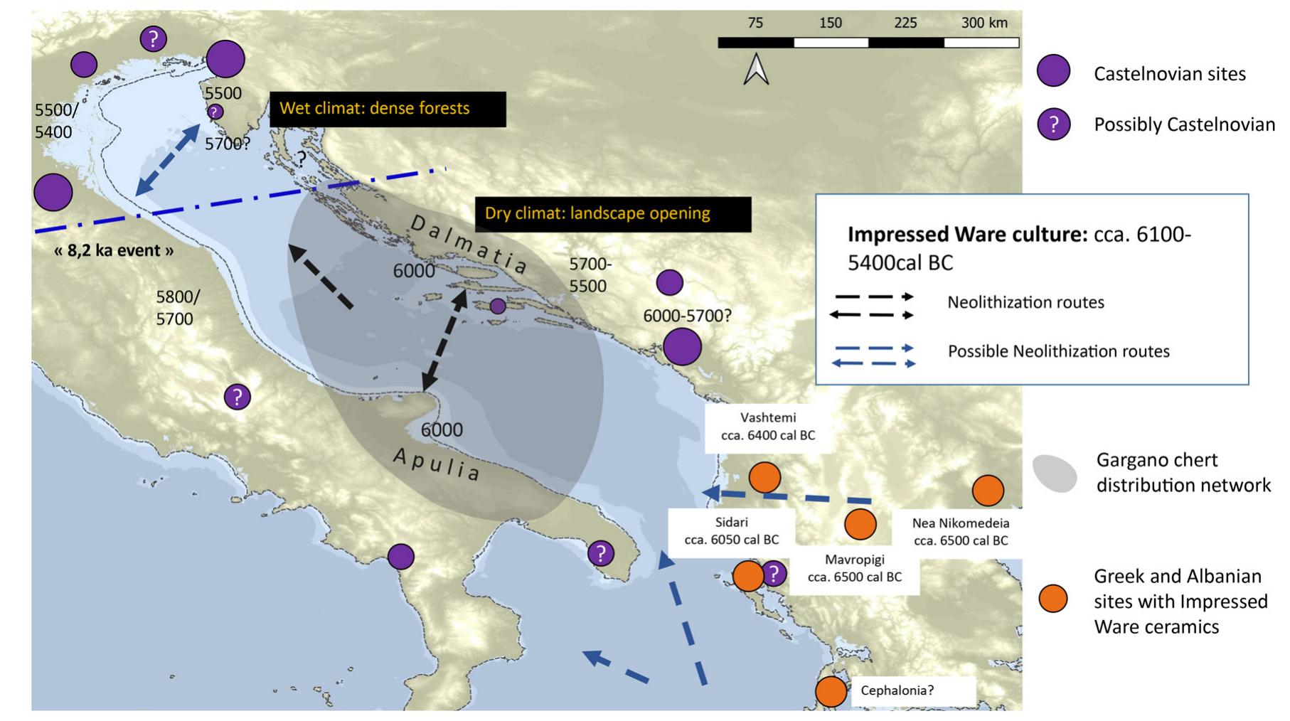 Figure 5: Proposed model for the Neolithisation of the Adriatic: the Gargano chert distribution network (shaded surface)  corresponds to the epicentre of the Impressed Ware culture (Apulia, Eastern Calabria, Northern Basilicata, and Dalmatia), while the regions outside the distribution area represent the margins of the Impressed Ware culture (Istria and possibly Kvarner). The northern extension of the Gargano network is possibly linked to the border between the Italo-Dalmatian Impressed Ware and  the Impressa medio-adriatica. The numbers (6000, 5800/5700 etc.) correspond to the cal BC dates. 