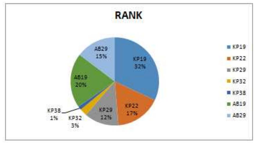 4: pai chart of rank.