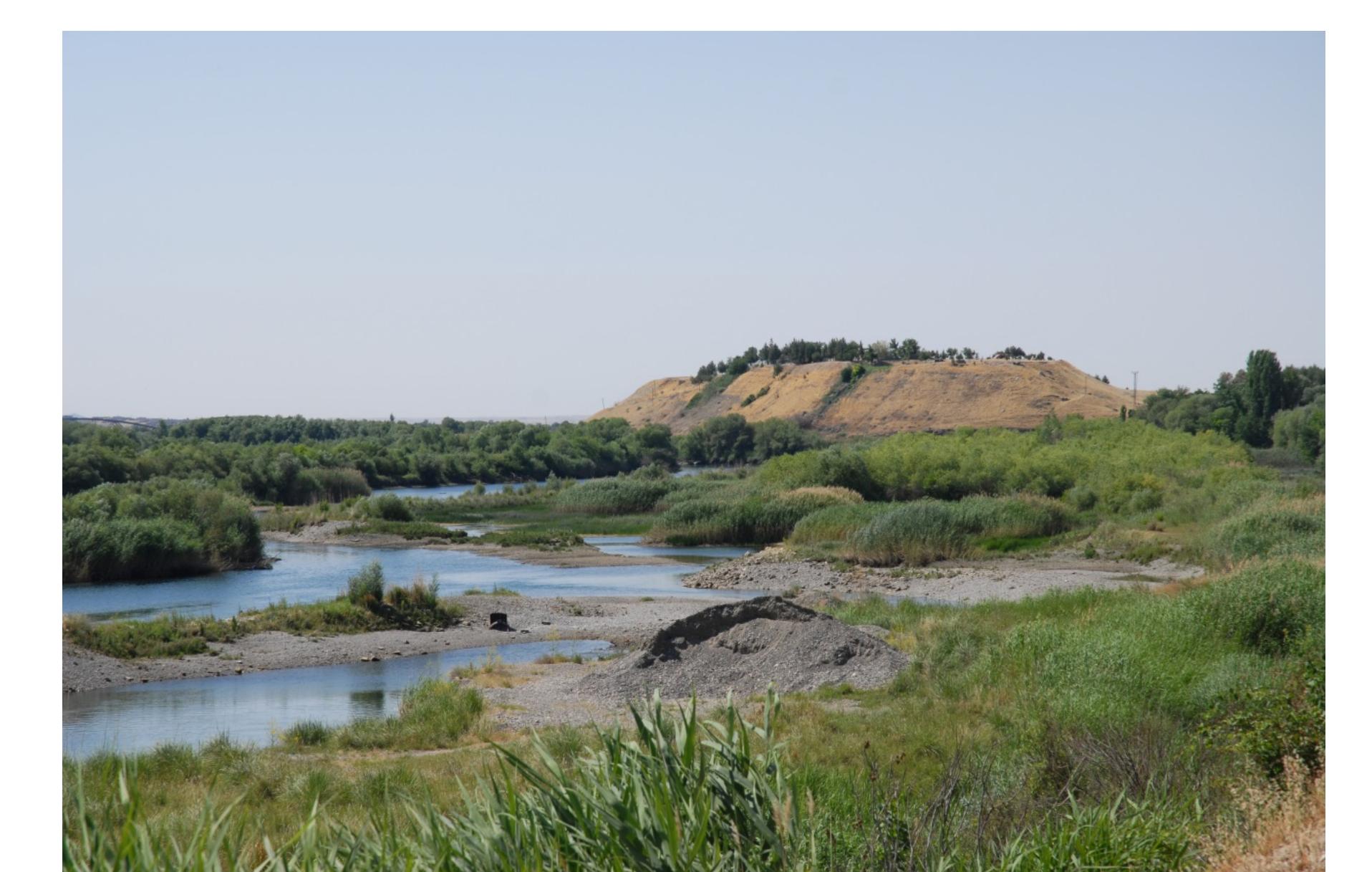 Fig. 1.4. The acropolis mound of Karkemish on the Euphrates, view from the north. 