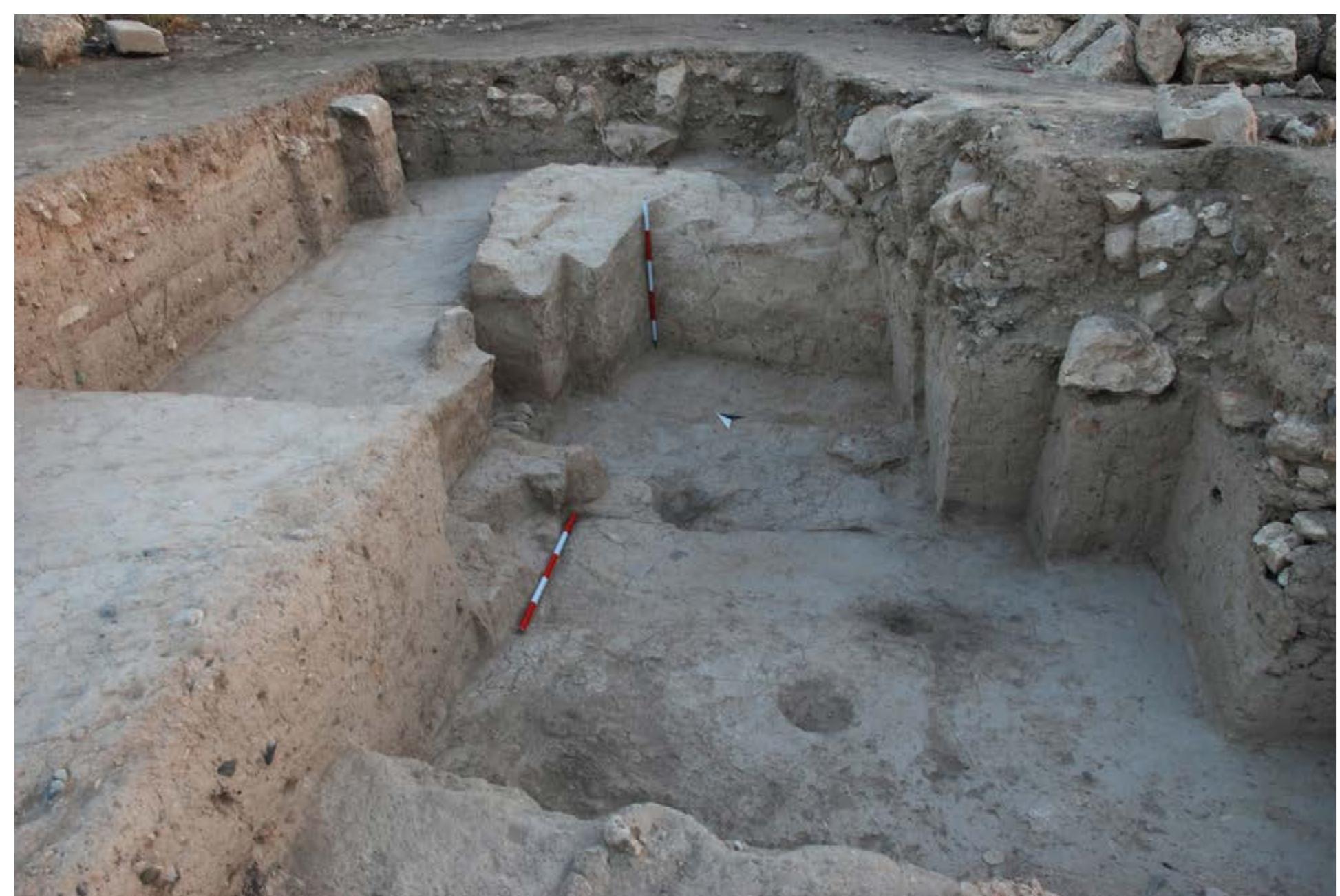 Fig. 5.6. Detail of the LB I domestic structures in area A, view from the south-west. 