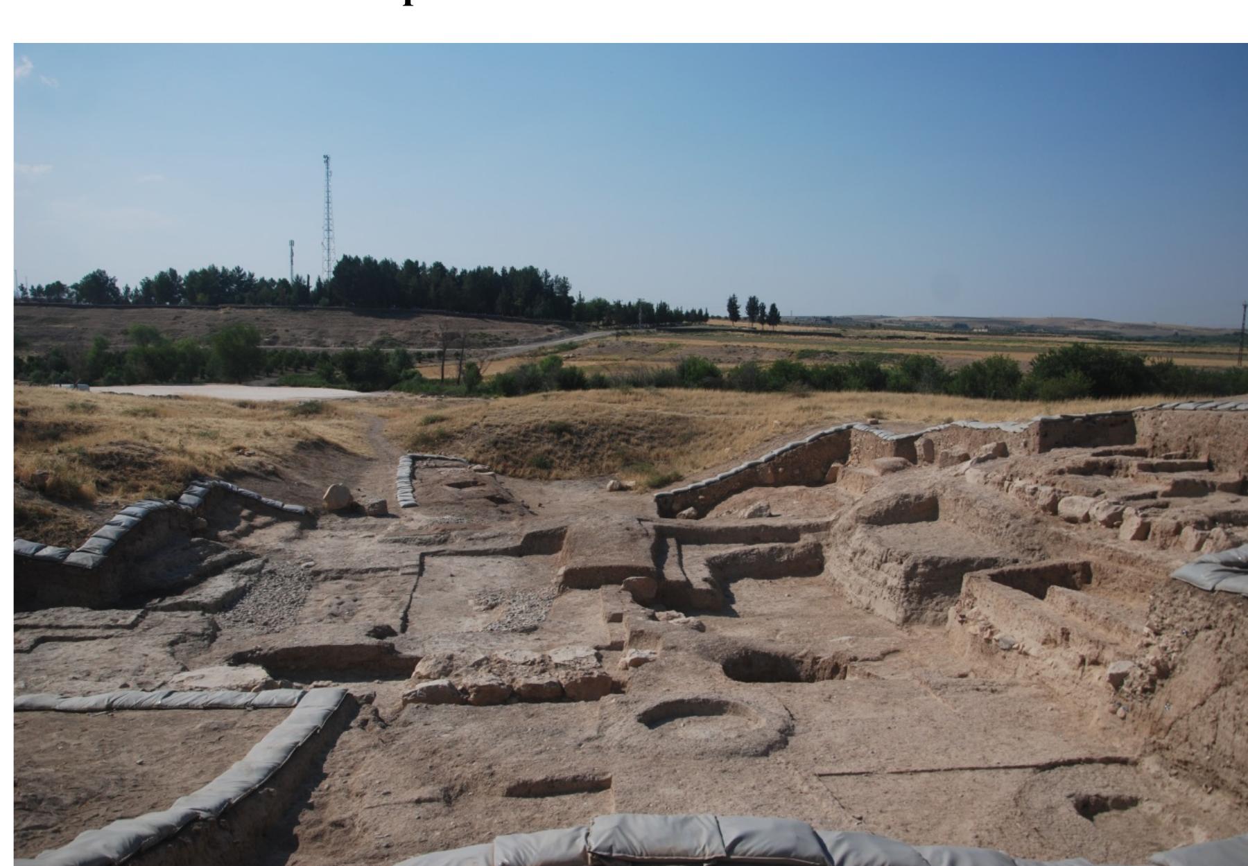 Fig. 6.1. General view of the excavations in area P. 