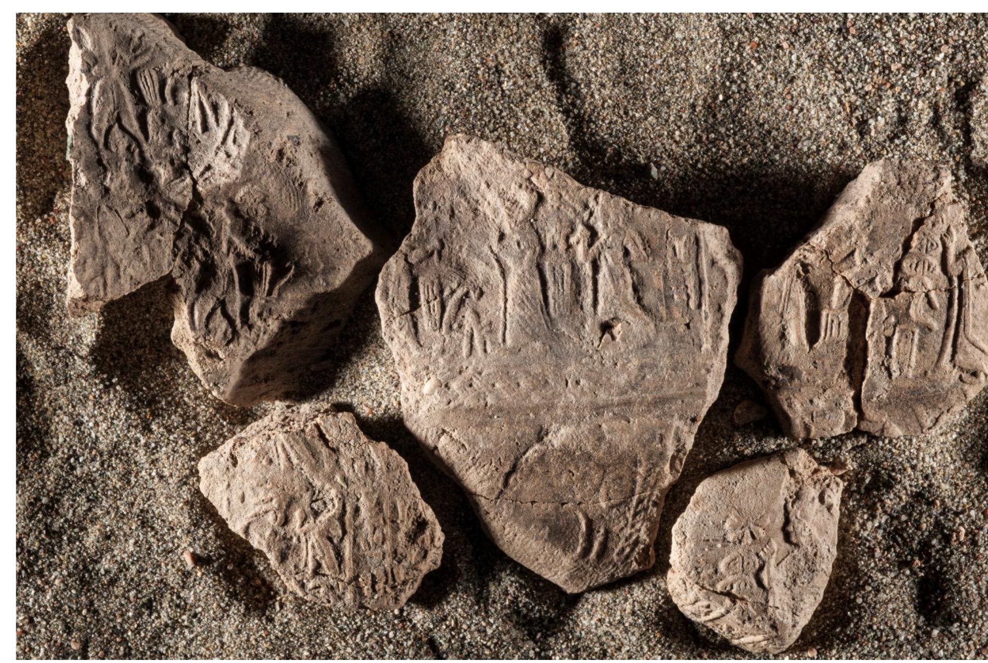 Fig. 6.7. LB IIB clay sealings from the 2017 excavations in area C. 
