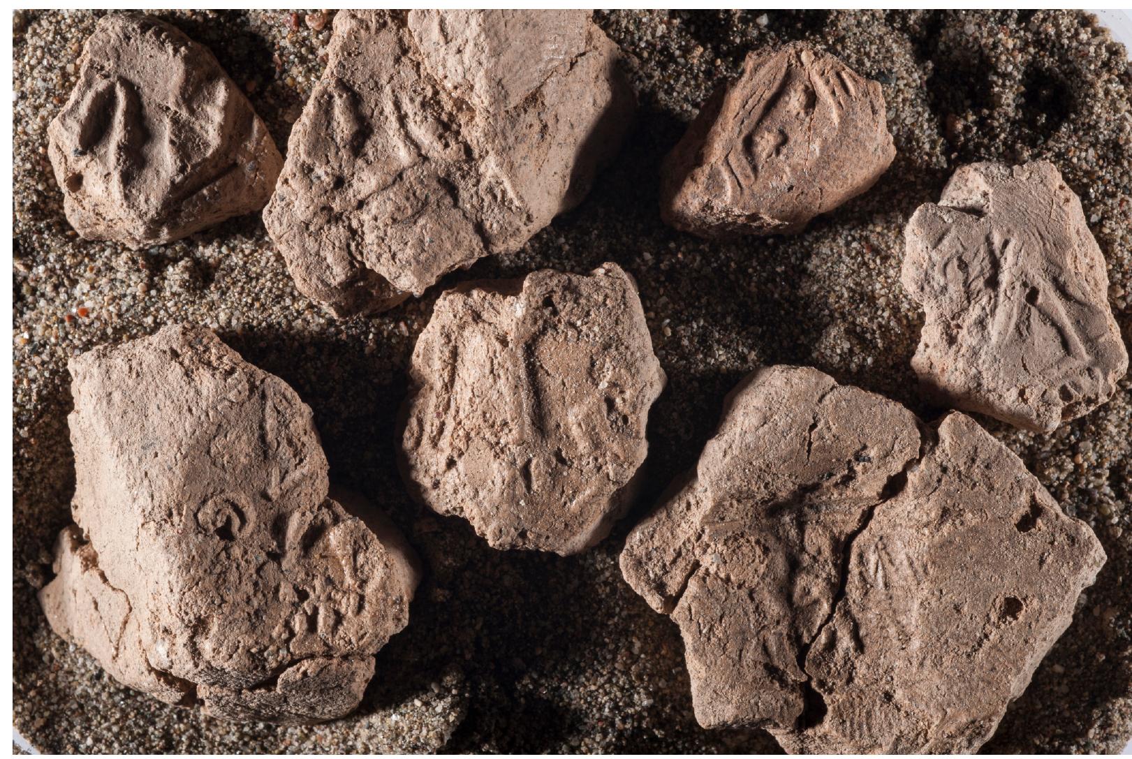 Fig. 6.9. LB IIB clay sealings from the 2017 excavations in area C. 
