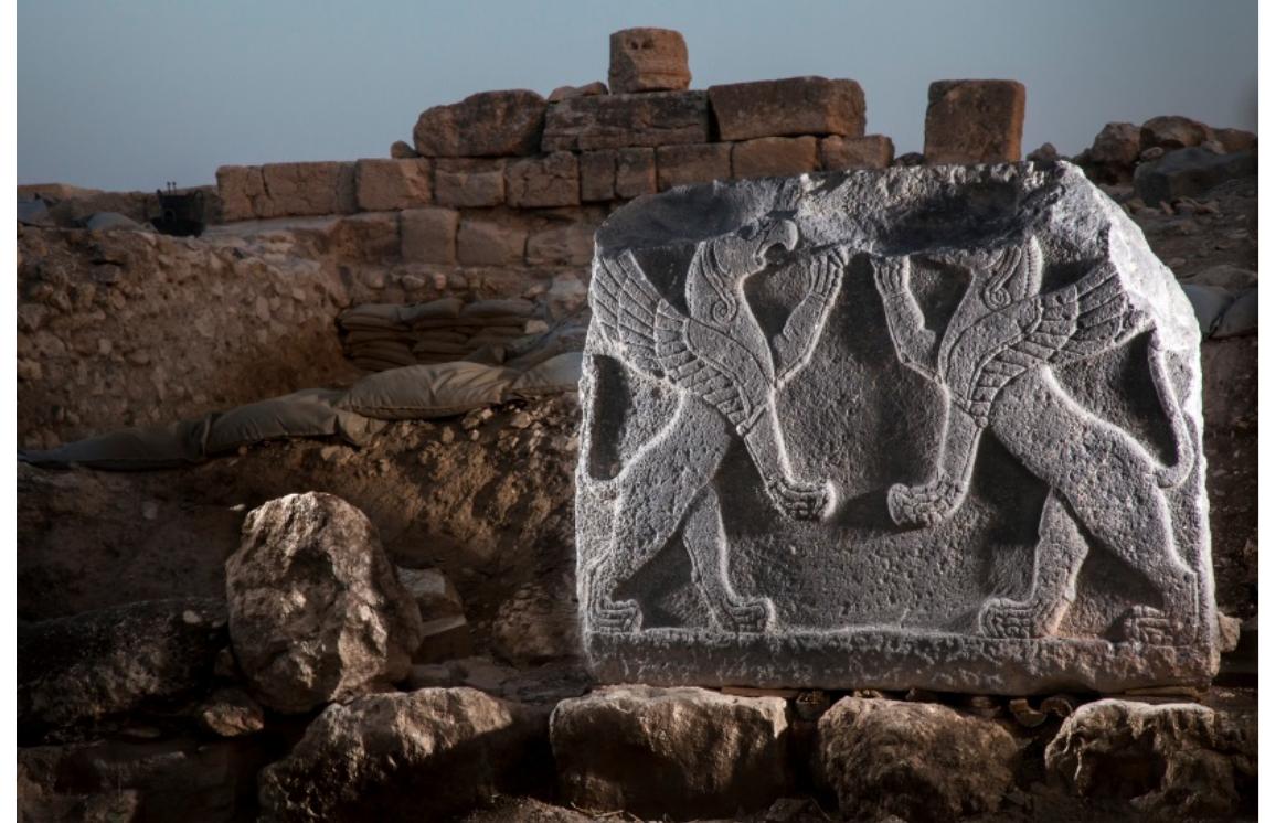Fig. 8.12. Basalt orthostat with two rampant griffins found in 2017,  belonging to the decoration of the Herald's Wall built by the ruler Katuwa (end of the 10" century BCE). 