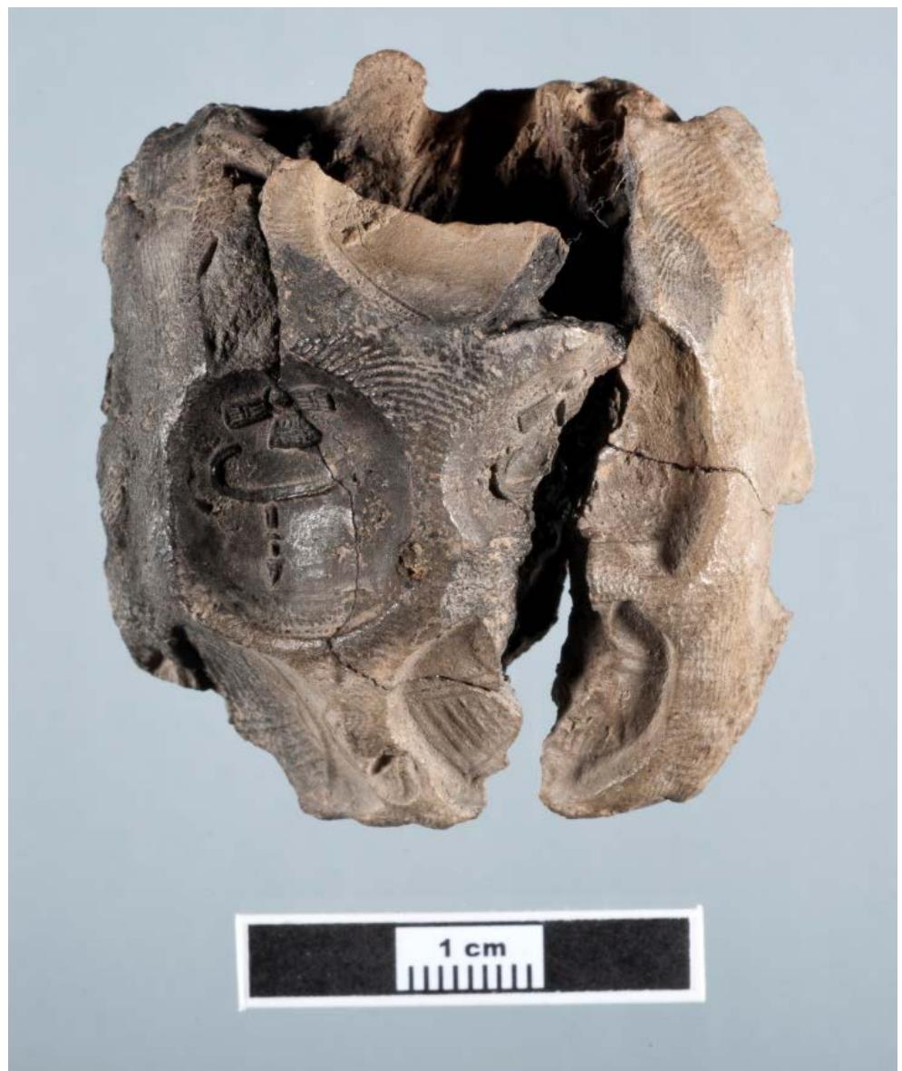 Fig. 9.12. A clay sealing with strings inside and five stamp-seal impressions on top of it, found in the well sealed in 605 BCE. 