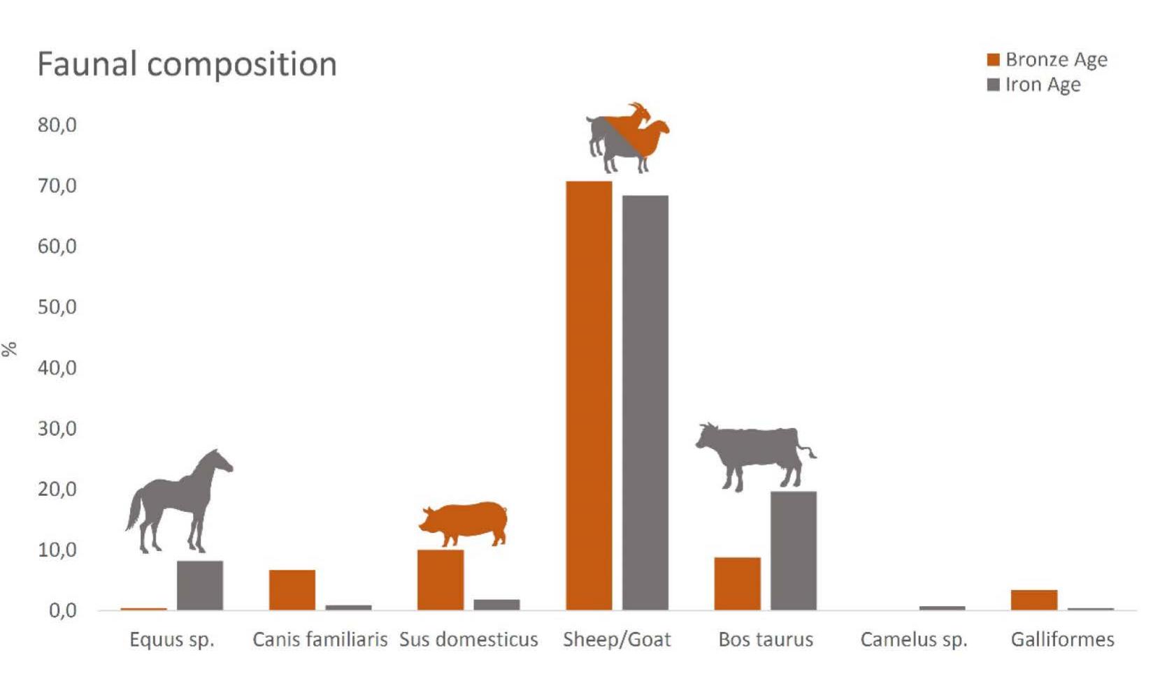 Fig. 3. Domestic faunal composition in the two major occupation phases. 