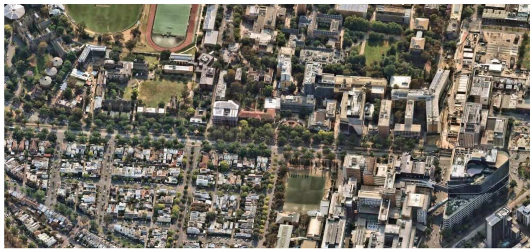 Figure 1. The Southern side of the Royal Parade, December 2019. The Royal Melbourne Hospital at bottom right and the University of Melbourne campus above the Parade. Image from NearMap.  Our case is the situation of some 400 trees (mostly English elms, Ulmus procera Salisbury) that line the Royal Parade boulevard in Melbourne (Figure 1 and Figure 2). The city planted four rows of these trees in 1913 in response to the then-fashionable "City Beautiful" planning approach.  The Victorian Heritage Register lists the boulevard as protected since 2009, recognising its iconic role.14 