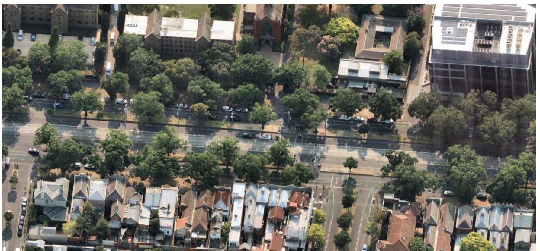 Figure 2. A fragment of the Royal Parade, December 2019, showing a variety of existing trees: those with full crowns mid-size trees, younger trees, and missing trees. Image from NearMap. 