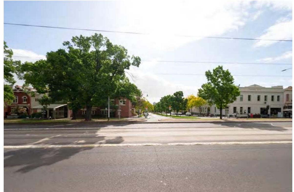 Figure 4. A large elm at the Royal Parade and several more recently planted elms at a perpendicular Morrah Street, November 2020, 4:30pm (late spring). This street can be also seen on Figure 2. Image by authors.  Instead, current management intends to replace all elms by trees of the same (or very similar species to maintain the heritage and aesthetic significance of the boulevards. To alleviate (human) community concerns the plan is to use 5-6m trees grown off-site because they wil improve amenity and presentation within the first years after replacement. The 2005 review recommended action within the next five years (or by 2010). More recent Parkville Urban Forest Precinct Plan 2015-2025 confirmed the commitment to heritage protection.13 At the moment of writing, in mid-2020, no major action occurred. This paper questions the wisdom and ethics o retaining avenues of elms. The purpose of this critical analysis is to motivate the discussion and design of better alternatives. The advancement in this area is impossible without the consideration of human and nonhuman histories that frame the interpretations of the past and the desirability of alternative futures.  