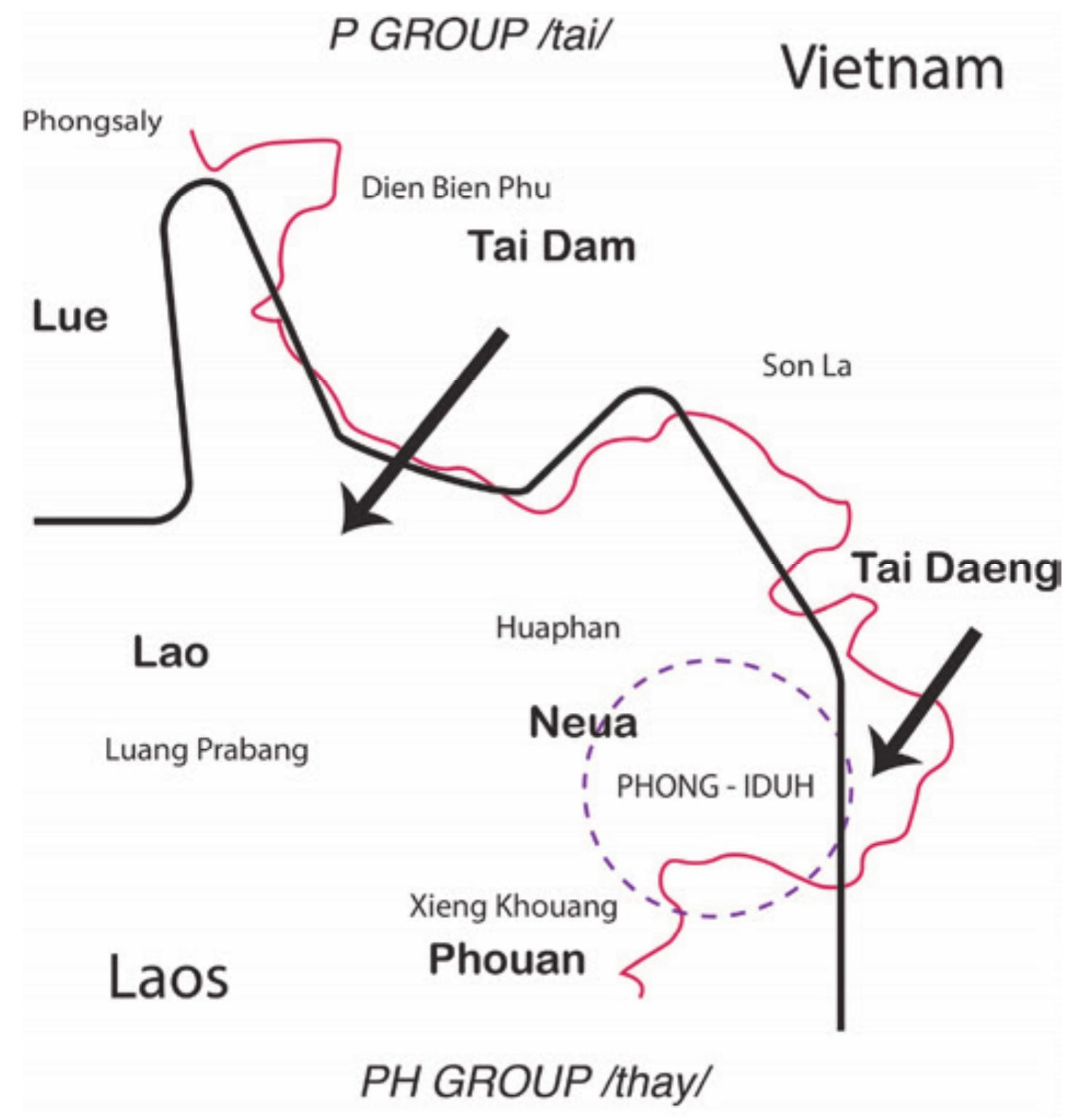 dentifying criteria, and the Lao language and its varieties are characterized by a specifi oattern of historical tone mergers that are not present in the Tai languages of Houaphat Therefore, linguistically the languages spoken by the Tai peoples in Houaphan are mo: accurately identified by the term Tai-Thay, which is does not include Lao, and important avoids confusion with the term Thai and its association with Thailand. To make this situatio nore complex, the term Lao /laaw/ is also used as part of ethnonyms, meaning ‘people’, muc in the same way as tai and thay. In Houaphan, one finds the term Thay Phut, and more recentl Lao Phut, which is often understood as “‘the Buddhist Lao”, but in fact should be taken to mea “Thay people who have adopted Buddhism”. Matters are confused further, because Lao is use inder the modern Lao nation state as a politically inclusive “people term”; the most pertinet >xample being Lao Phong, which is indexical of an ideology that seeks proximity to discourse of a Lao political and civilizational center.  As is shown on this thematic map of the P/PH isogloss (Figure 1), the area of Houaphan is historically a “PH area”, where the Neua-Phuan languages were spoken, but in the 19" and 20" centuries P-speaking groups such as Tai Dam and Tai Daeng have migrated into the area, giving the more textured landscape of language variation within the Tai population. This would show that the Phong would have only encountered the P-speaking groups after these migrations and importantly for the following discussion, means that they were not traditionally part of the political structures of the Tai Dam or Tai Daeng. The primary point of linguistic contact with Tai languages would be the Neua-Phuan languages, of which it is difficult to set clear borders  