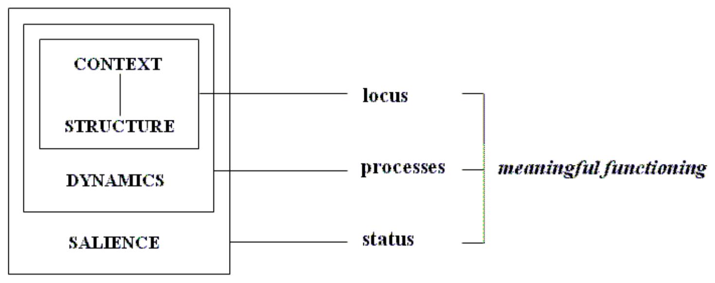The structure of a pragmatic theory t is considered that