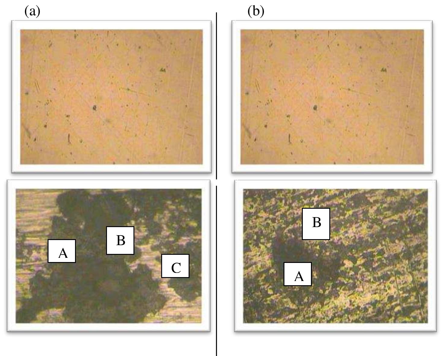 (PDF) The Cause of Metallic Corrosion in Crude OilsFull Text