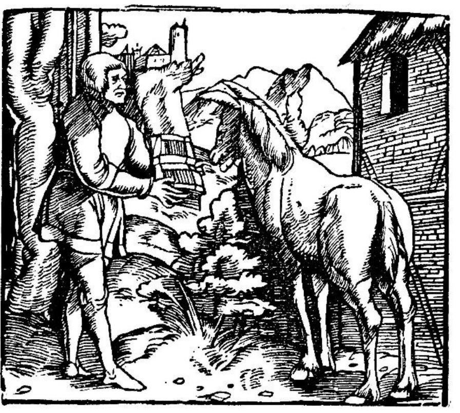 29. How Eulenspiegel taught 1 ass to read from an old psalter at Erfurt  Fig. 13 — Woodcut reproduced from the original edition Ein kurtzweilig Lesen von Dy! Vienspiegel. Strasburg: Johannes Grtininger, 1515. 