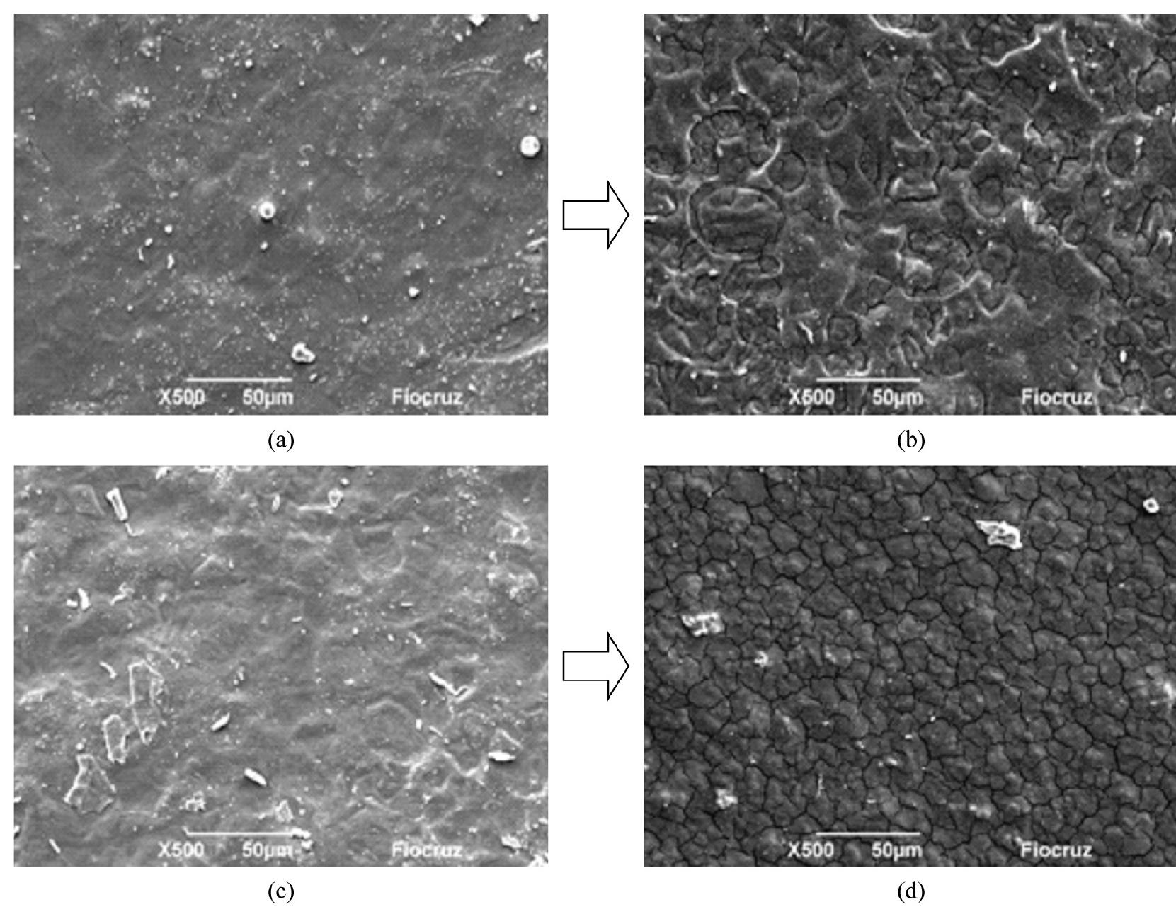 (PDF) Effect of the Glycerol and Lignin Extracted from Piassava Fiber ...