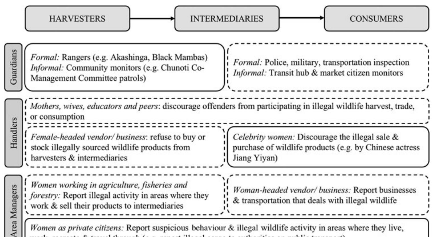 demographic characteristics, including gender, were inilu- ential. However, they found that willingness to report was influenced by socio-economic situation, with those that were struggling economically less likely to report poaching. This highlights the importance of attending to the intersec- tionality of gender. Booker & Roe (2017) reviewed the effec- tiveness of communities in reducing illegal wildlife trade and reported on volunteer patrol teams consisting largely of Bangladeshi women, sometimes referred to as ‘the sari squad’, in the Chunoti Wildlife Sanctuary. Evidence of their effectiveness is anecdotal but observational reports claim an increase in the number of elephants in the Sanctuary. The International Fund for Animal Welfare Female Engagement Teams among the Maasai in Kenya support wildlife security by treating women as valuable sources of information, while also providing participants with education on animal behaviour and support for in- come generating activities. Although this is only a 2-year pilot programme with limited evidence, it acknowledges the direct and indirect roles women play in wildlife conser- vation and has exhibited positive results, creating a network of trusted women to whom other women can turn for re- porting wildlife crime and welfare (Chiu, 2019). 