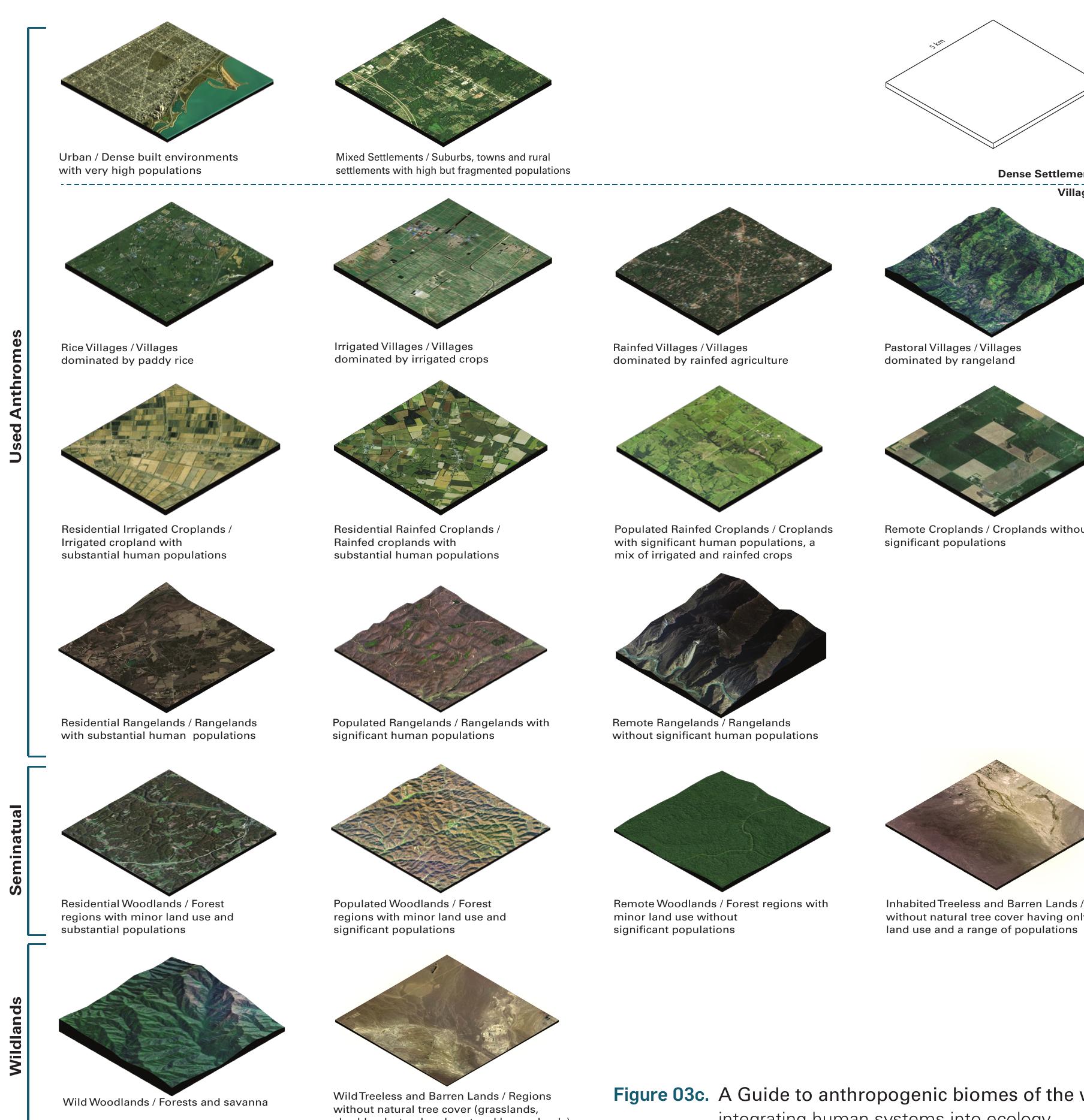 (PDF) Ecologies of the Anthropocene: Global Upscaling of Social ...