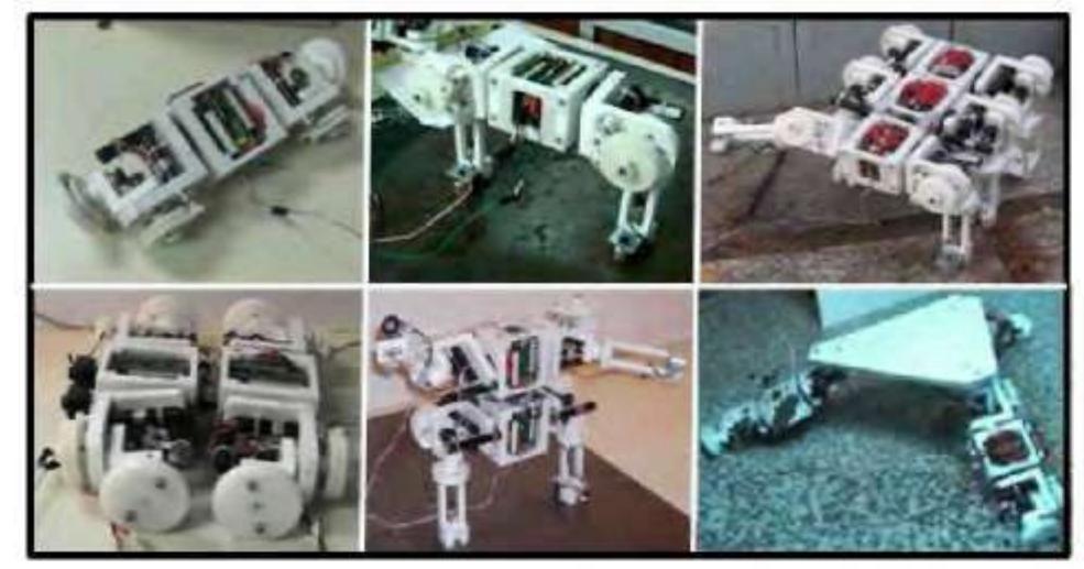 (PDF) A modular robot system design and control motion modes for ...