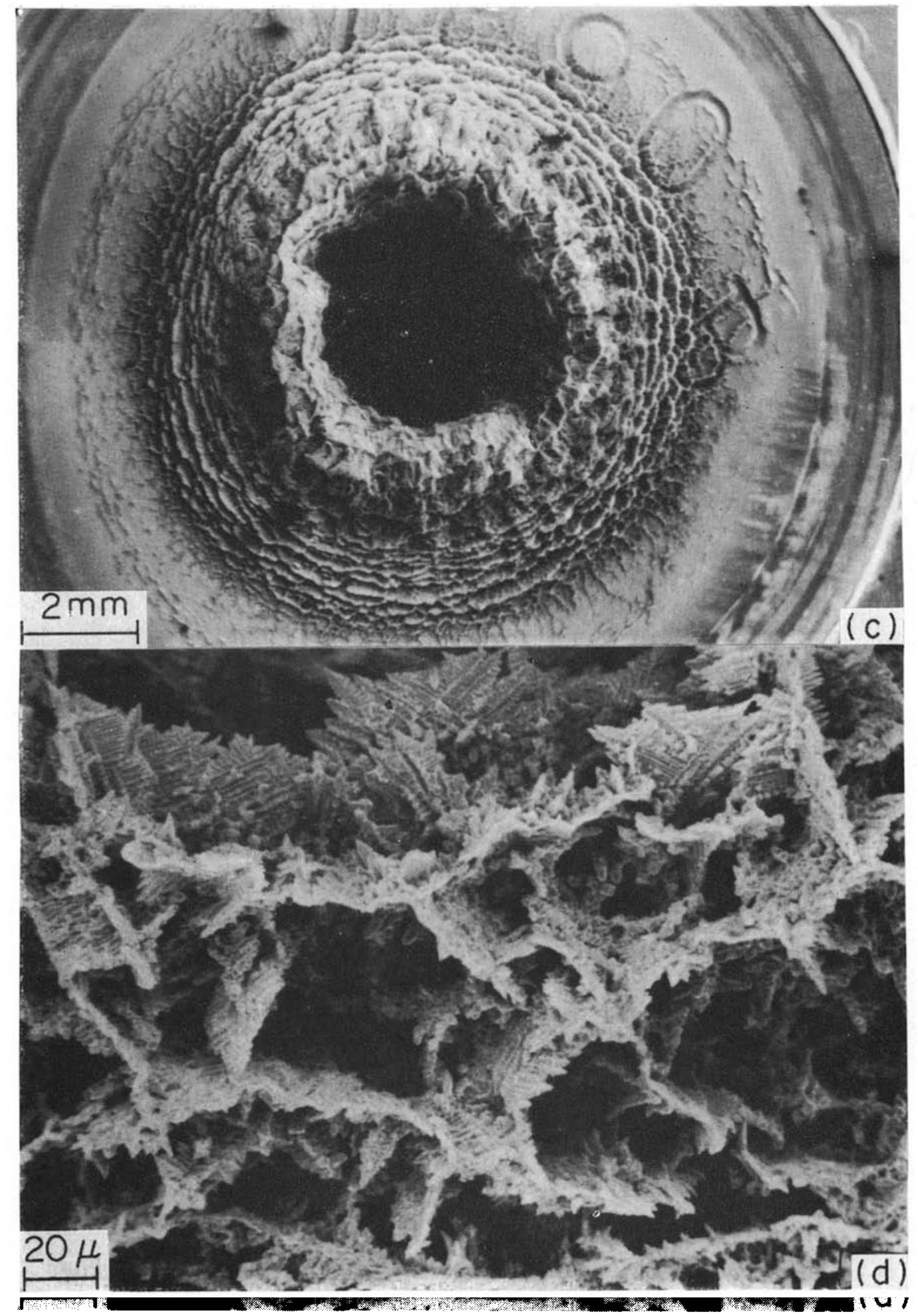Fic Plate Fic. 1(c). deposition of magnetite on orifice plate causing