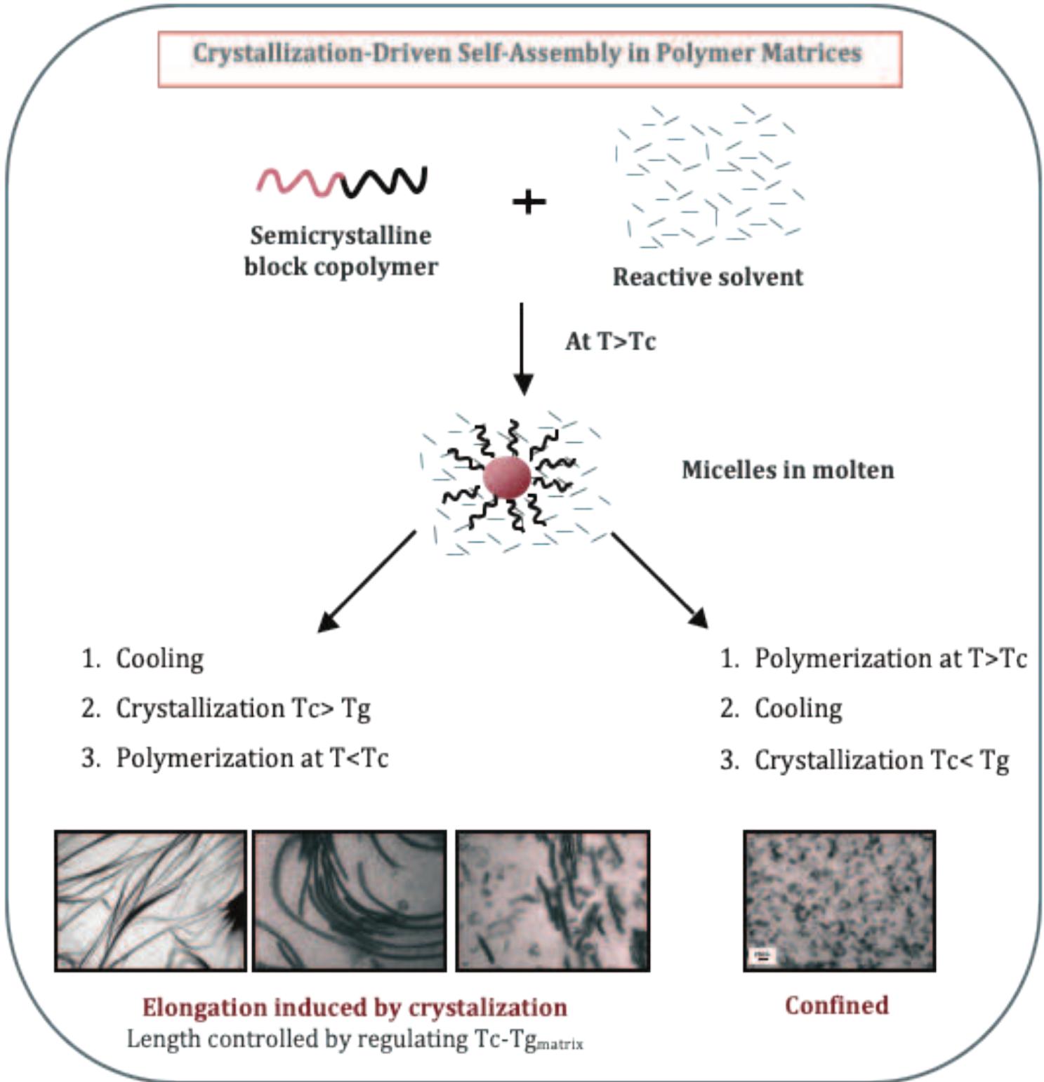 (PDF) Block Copolymer Micelles Generated by Crystallization-Driven Self ...