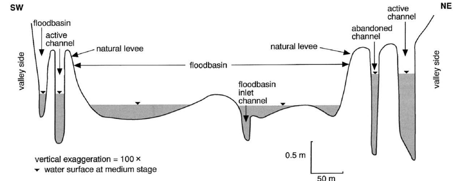 (PDF) Anastomosing rivers: a review of their classification, origin and ...