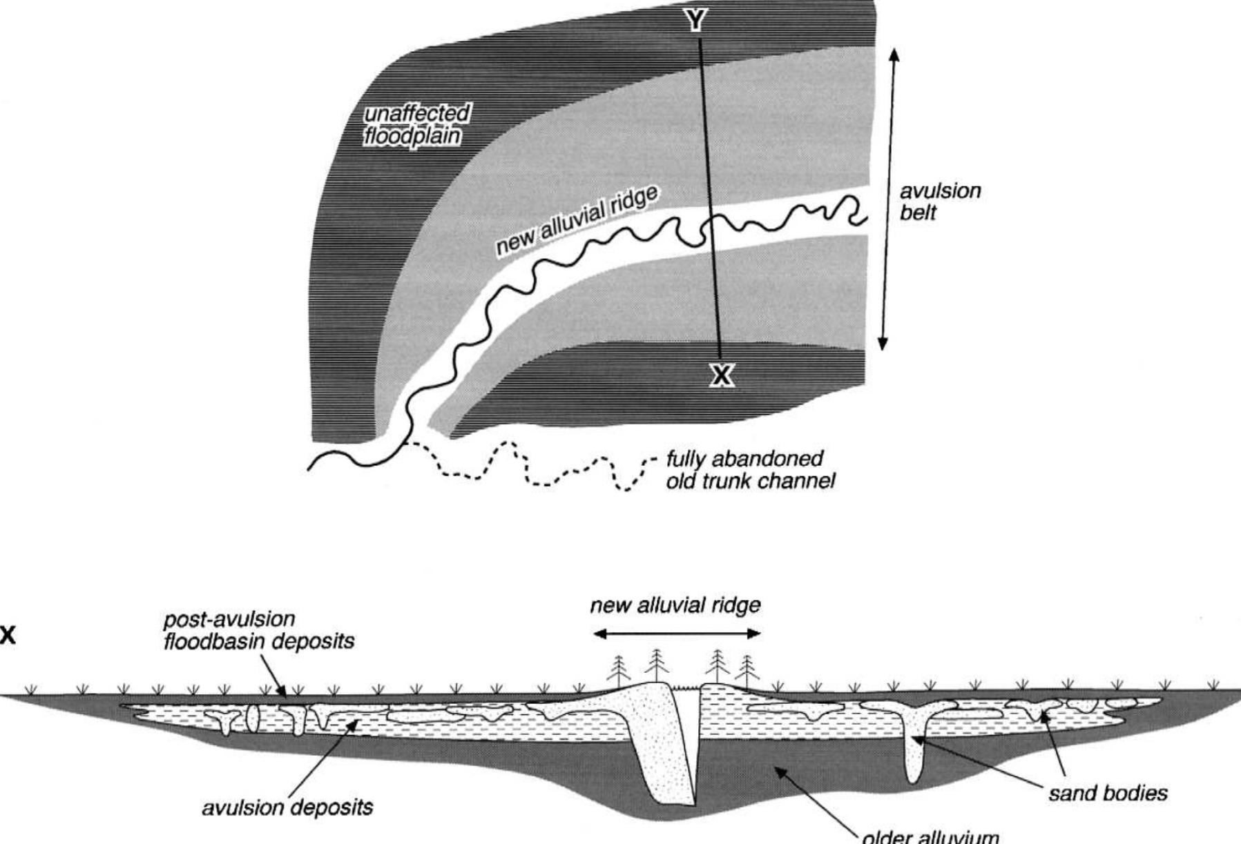 (PDF) Anastomosing rivers: a review of their classification, origin and ...